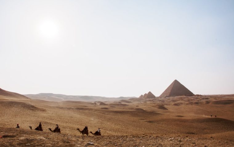 Camels moving in a desert near pyramids